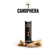 카노페헤라 커피나무 우드스틱 도그우드 반려견 대형견 강아지 이갈이 장난감, XL