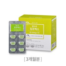 에이필드 R3 징코엑스 3개월분 은행잎 추출물