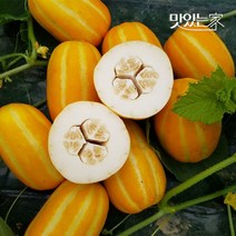 맛있는 꿀맛남 성주참외 2kg/3kg/5kg, 03.성주 참외 3kg (대과,7-10과), 상세설명 참조