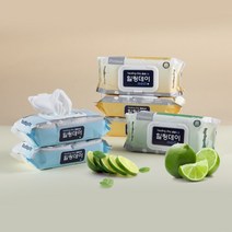 힐링데이 프리미엄 빅사이즈 대형 물티슈 일반 플레인 캡형 60매, 12팩