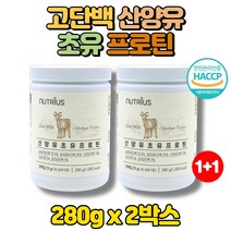코스트코 산양유 초유 중학생 청소년 단백질 분말 고트스트럼 면역글로불린G 노인 시니엄 아침 식사대용 단백질 엘아르기닌 고단백, 2박스