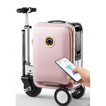 캐리어 킥보드 탑승 여행 라이딩 기내용 가방 트롤리, 실버 20인치