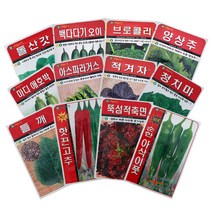 담쟁이가든 씨앗모음 채소씨앗 야채씨앗 씨앗모종, 곰보배추