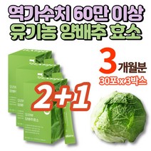 국내산 무안 동결건조 유기농 양배추 효소 가루 분말 스틱 탄수화물 단백질 분해 효소 높은 역가수치 고역가수치 채소가루 아밀라아제 프로테아제, 3박스