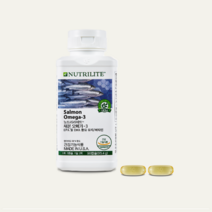 암웨이 오메가3 90캡슐 혈중 혈행 EPA DHA 개선제