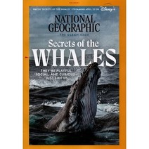 National Geographic USA (월간) : 2021년 05월 : Secrets of the WHALES, 내셔널지오그래픽편집부