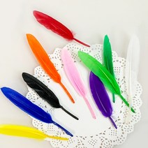 [대원] 거위깃털 새깃털 소 90~160mm 10색상 10개입, 하양