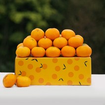 농부마음 새콤달콤 하우스 감귤 3kg(31-40과) 외피박스포장, 단품없음