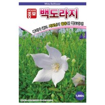 백도라지씨앗 백도라지(1000립), 단품