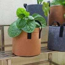부직포 화분 베란다 텃밭 대파 키우기 5갤런 30x25, 2화분5갤런-그레이