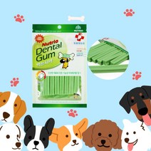 뉴트리오덴탈츄100g 먹는치약 덴탈껌 기본 치석제거 _ 20230302EA, 쿠팡 1, 쿠팡 본상품선택