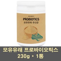 프리미엄 프로바이오틱스 유산균 가루 분말 파우더 모유유래 럭토바실러스가세리 루테리 람노서스 19종 생유사균 프리바이오틱스 먹이 유익균 가족 어린이 장건강 영양제, 1통, 230g
