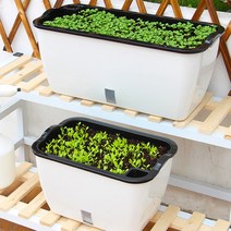 아이가든 자동급수 베란다 옥상 텃밭화분, 화이트