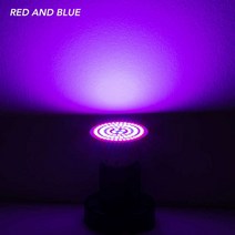 식물등 스탠드 e27 led 성장 램프 e14 성장 빛 전체 스펙트럼 gu10 식물 조명 fitolampy gu5.3 식물을위한 앰플 모종 재배, 80개의 LED