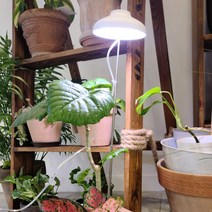 캥거 LED 식물등 조명 성장등 생장등 1컬러 1헤드, 몸체 흰색, 3헤드 3컬러 (파+빨+보)