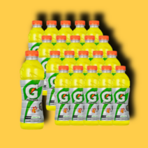 게토레이 스포츠 이온음료 600ml 20개 1박스