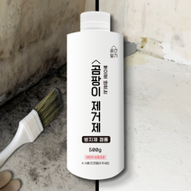 공간일기 바르는 곰팡이제거제 500g, 1개