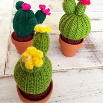 손뜨개 선인장, 1