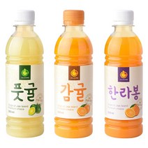 무농약으로 정성껏 키운 건강한 먹거리 올레원 풋귤 한라봉 감귤 착즙주스 300ml 2개씩 6개, 풋귤주스 2개/한라봉주스 2개/감귤주스 2개