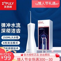 셀프 치아세정기 워터칫솔 치아청소 구강세정기 무선 치석제거 휴대용 치간세정기 물칫솔, 기본선택
