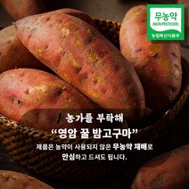 [이벤트특가] 무농약 영암 세척 꿀고구마 3kg 5kg 10kg, 3kg 대