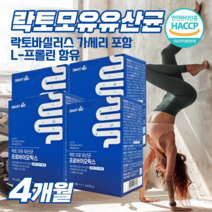 모유유래유산균 비에날씬 bnr17 체지방감소 다이어트 인증 정품 유산균 락토바실러스가세리 비엔알17 식약처 HACCP 프로바이오틱스 추천 분말 가루(추가구성옵션 비에날씬), 모유유산균 4개월 + 내손안의마켓 추가상품