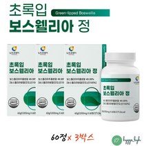 보스웰리아 정 추출분말 유향 쇠무릅 우슬 녹색홍합 60정 3통 식약청 HACCP 인증 뉴질랜드 초롱잎 푸른 초록입 초록잎 푸른 청 그린 머슬 홈쇼핑 60대 70대 중년 여성 남성