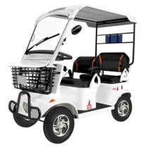 고급 골프카 전기 전동차 지붕 노인 스쿠터 사계절용, H6+60V22a 납산배터리 약210km
