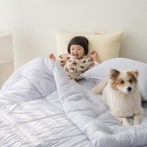 강아지 고양이 털안붙는이불 알레르망원단 정전기없는 알러지케어 사계절 이불