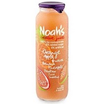 워터라임 노아 오렌지 구아바 파인애플 포포열매 260ml, 9개