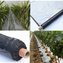 미니 비닐하우스 자재 보온덮개40M 정원 온실 플라스틱 뿌리 덮개 0.02mm 딸기 농업 반사 잡초 방제 따뜻한, 0.02mm 20m