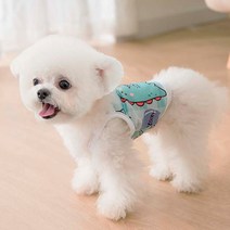 펫라이엇 1+1 강아지옷 고양이 봄 여름 메쉬 프린팅 끈 나시 티셔츠 시원한 애견의류 S-XL, 세트05_파인애플+아보카도
