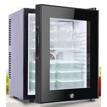 의약품 냉장고 사무실 실험실 40L 62L 음료 쇼케이스, 소형 냉장고-46L