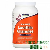 레티신 파우더 이노시톨 레시틴 가루 레씨틴 분말 미국 수입산