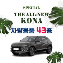 [차랑] 현대 디올뉴 코나 차량 용품 튜닝 인테리어 악세사리 모음 스크래치 커버 홀로그램 엠블럼 스티커, 19.아크릴 도어포켓 : 실버