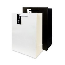 1500 도로시 종이쇼핑백 10개입 19x26x10, 흰색 10개입