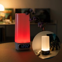 스마트소화기 화재감지 조명 가정용 투척용, 티타늄실버 소화기, 1개