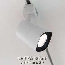 인라이프조명 IE-042 LED30W(대) 주광색6000K 스포트조명 패션스포트등 동대문레일등 쥬얼리레일등 전시관레일등 인테리어조명