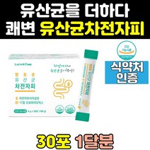 쾌변 차전자 자전차피 차전피 차전차피 식이섬유 2통 변비움 섬유소 섬유질 질경이 유산균 분말 영양제 식약처인증 가루 효능 파우더 화이바 홈쇼핑