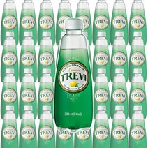 롯데칠성 트레비 레몬 300ml 20펫 탄산수 탄산음료, 03.트레비 (라임) 300ml x 20