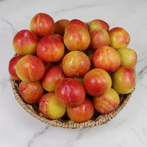 청송 추희자두 상품 3kg 110g내외, 상세페이지 참조, 상세페이지 참조, 상세페이지 참조