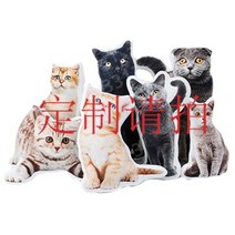 반려동물 추모 메모리얼 강아지 고양이 포토 쿠션 주문제작 맞춤, 맞춤제작, 가장 긴 변 20cm 단면