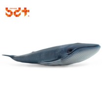 소프트 반디 흰수염고래 1P 동물 피유거 모형 장난감, 미뉴솜솜 본상품선택, 미뉴솜솜 본상품선택, 미뉴솜솜 본상품선택