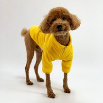 유앤펫 강아지 따숩 후리스, 옐로우