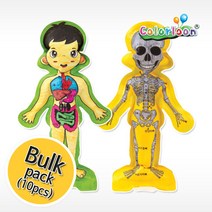 탑키드 반제품 3D인체 DIY kit(10pcs), 3D인체KIT