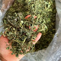 금성식품 중국식품 네기풀 25g