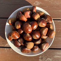 햇 밤 알밤 공주밤 약단밤 생율밤 1kg, [칼집]공주밤 1kg - 삶건나 쪄먹는 밤, 상세페이지 참조