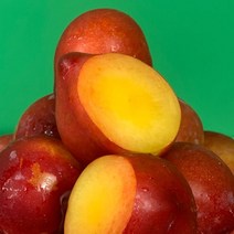 새콤달콤 제철 자두 소과 2kg 대석 후무사 도담 대왕 추희, 단품