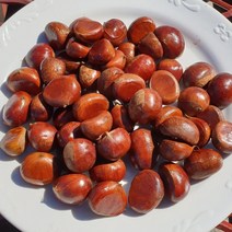 2023 백운산 토종 햇밤 (소 1 kg) / 진짜싸고 달다 / 군밤용 / 에어프라이어 / 아이간식, 1kg(소율), 1개