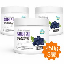 빌베리 분말 빌베리농축 가루 파우더 안토시아닌 250g, 3병